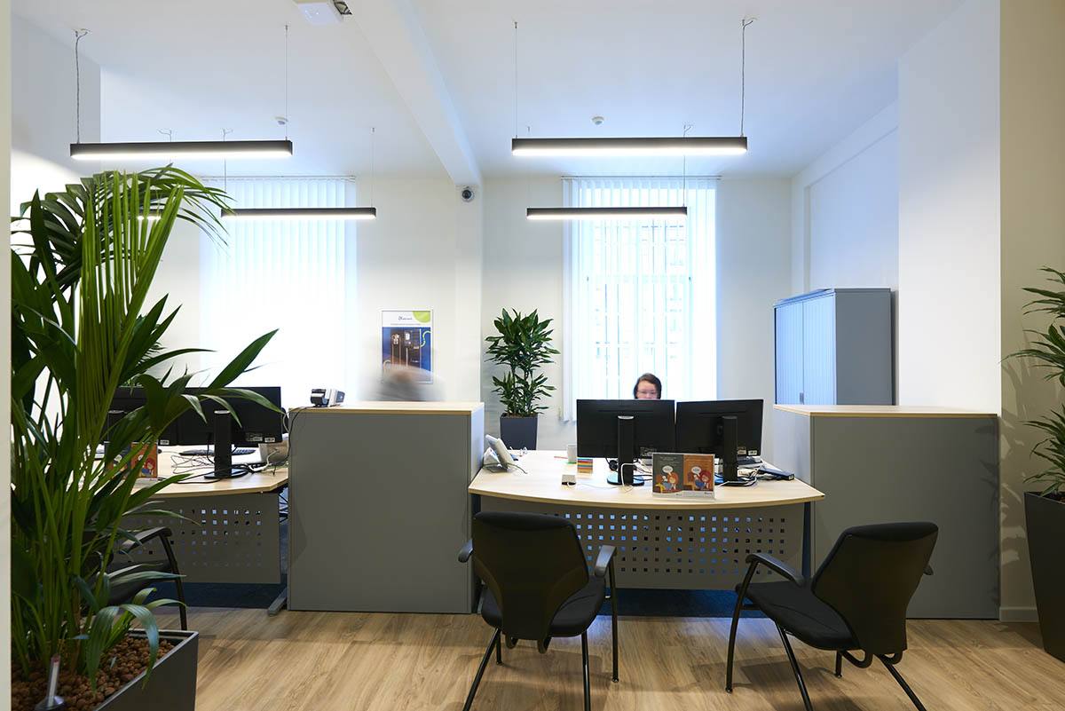 Poste de travail et plantes : implantation optimisée