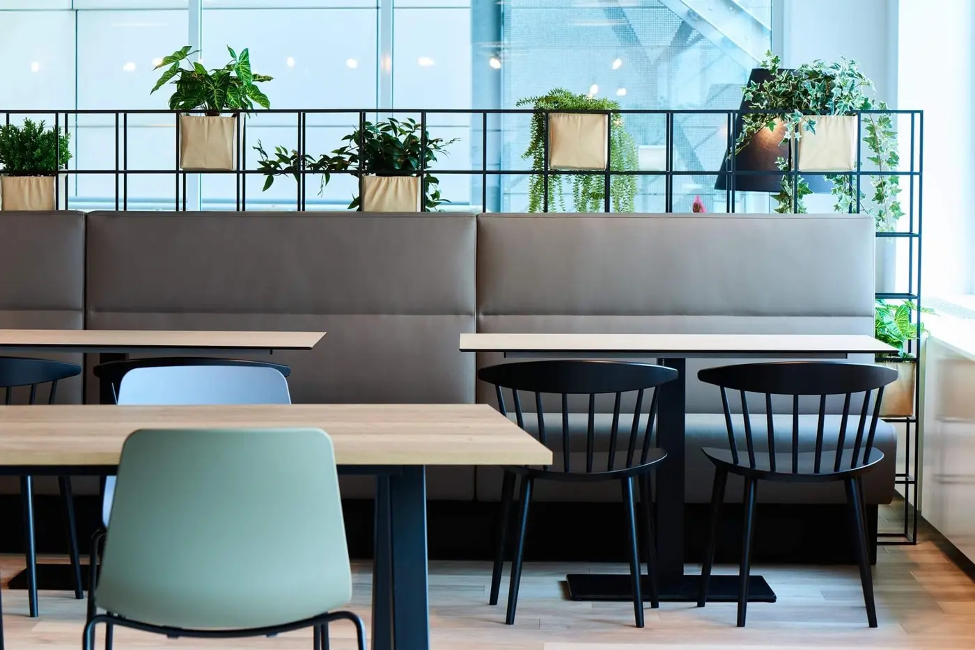 Poste de travail et plantes vertes dans un bureau aménagé à Diegem · aménagement de bureaux