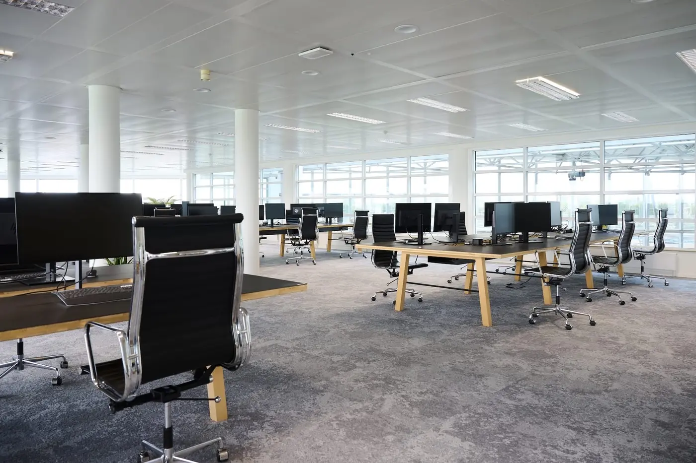 Sitecore · Networks Forest